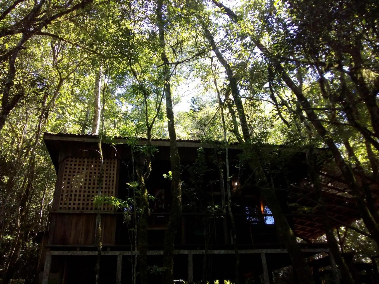 Aldea Yaboty Hosteria Saltos del Moconá Buitenkant foto
